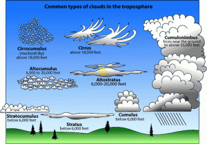 Common types of clouds